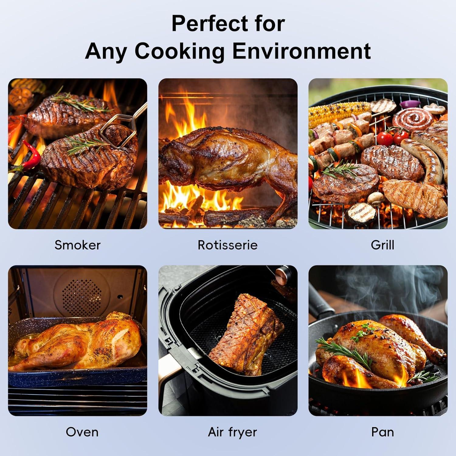 Termómetro de Carne Inalámbrico Bluetooth Newise BMT02 con 2 Probetas