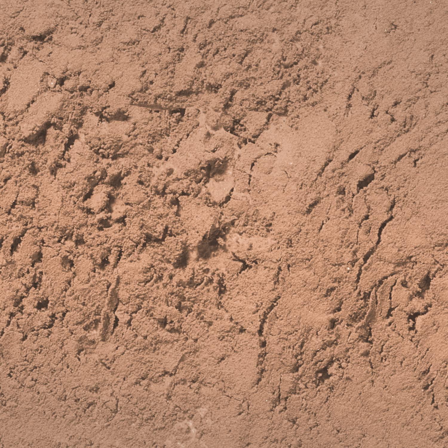 Polvo para Cejas Palladio Topo Compacto con Brocha Aplicadora