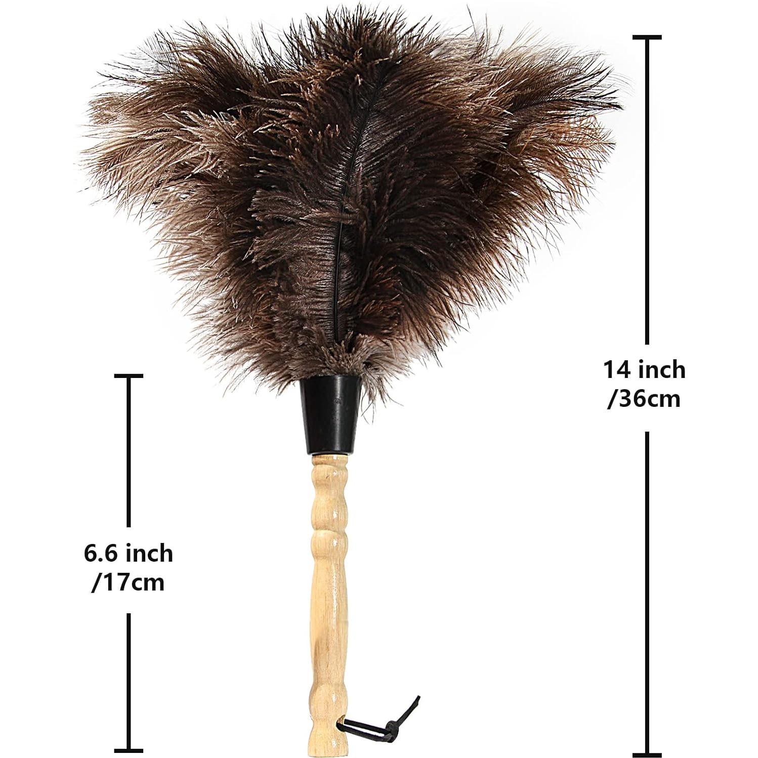 Plumero de Plumas de Avestruz iHUFeather 35.56 cm Ecológico