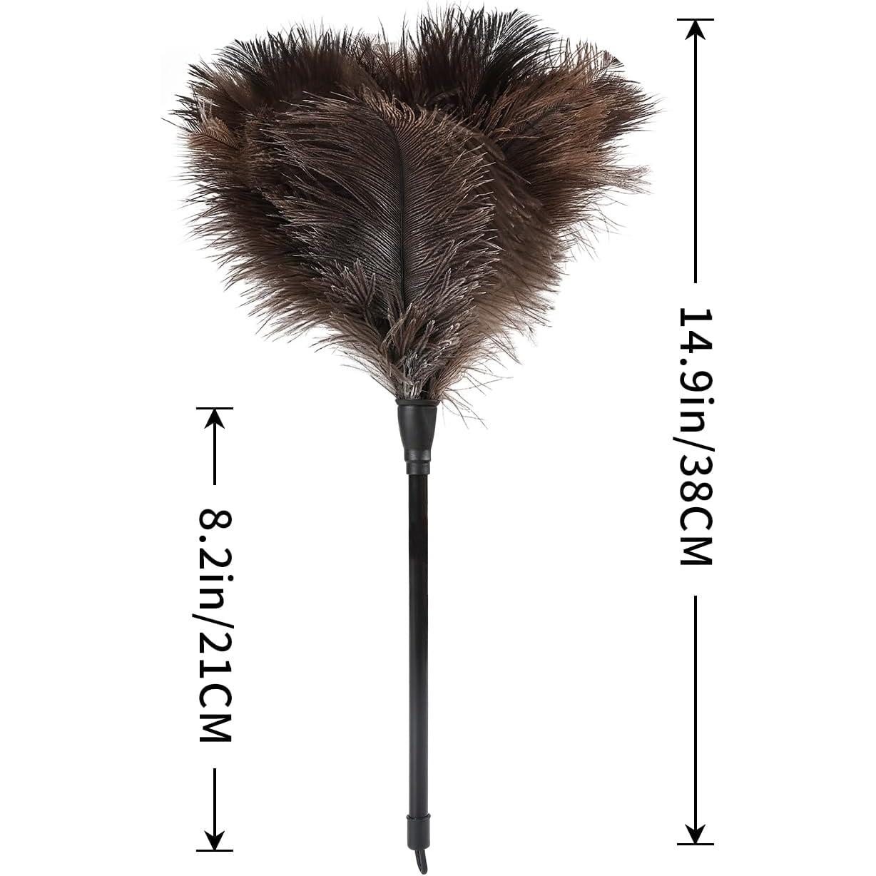 Plumero de Avestruz Daieeparty 37.8 cm Natural 1 pieza