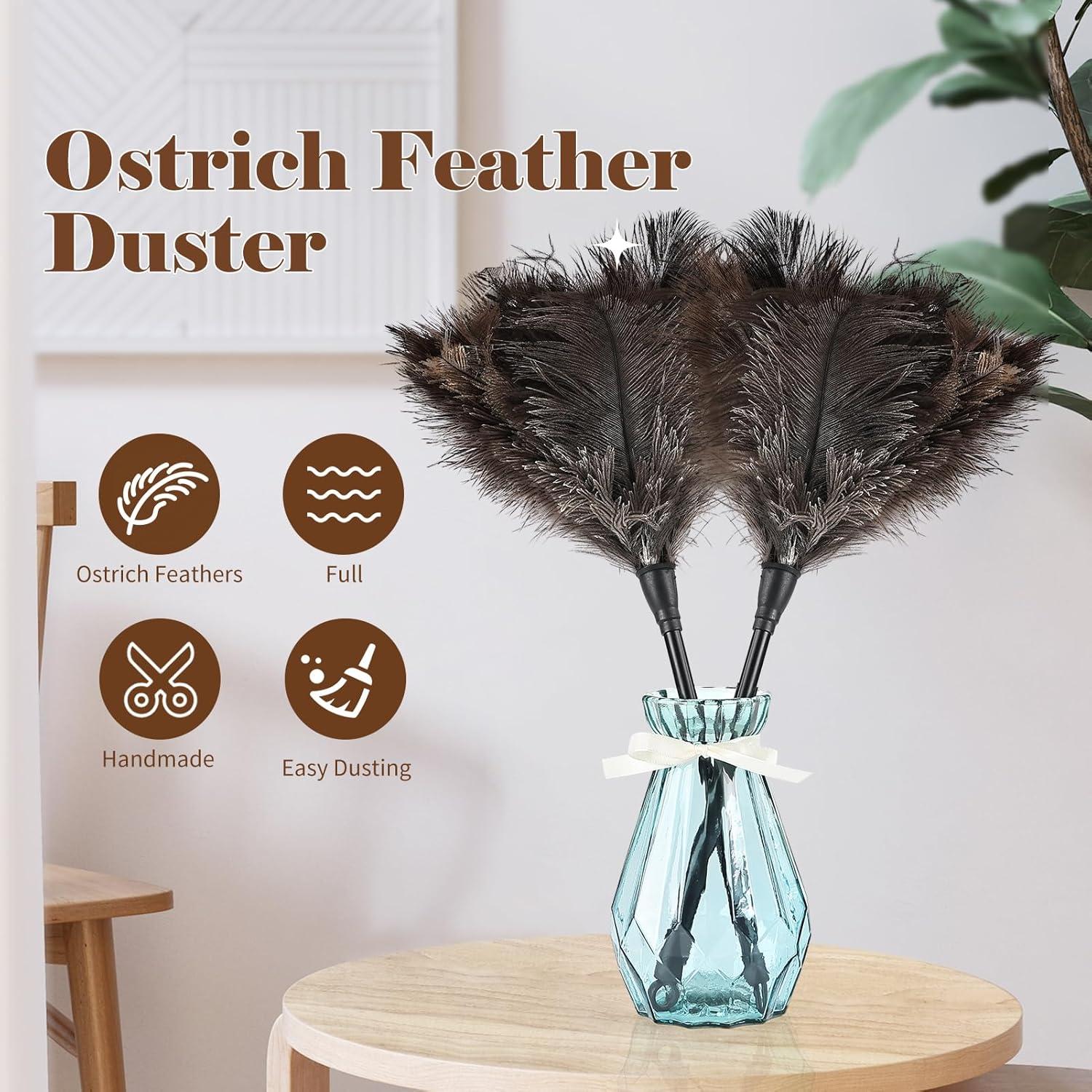 Plumero de Avestruz Daieeparty 37.8 cm Natural 1 pieza