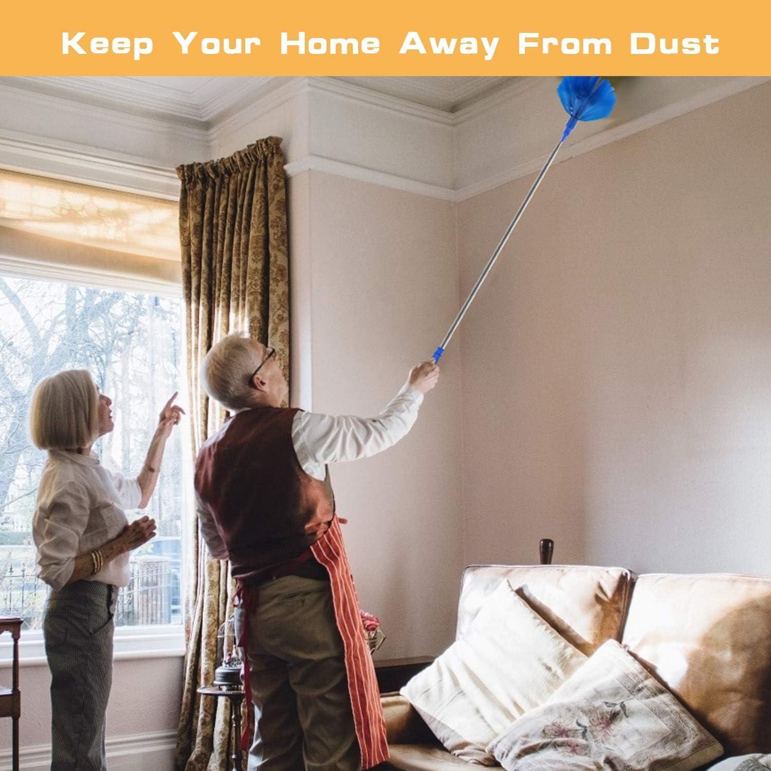 Kit de Plumero Extensible Lomida 76-205 cm Microfibra Lavable