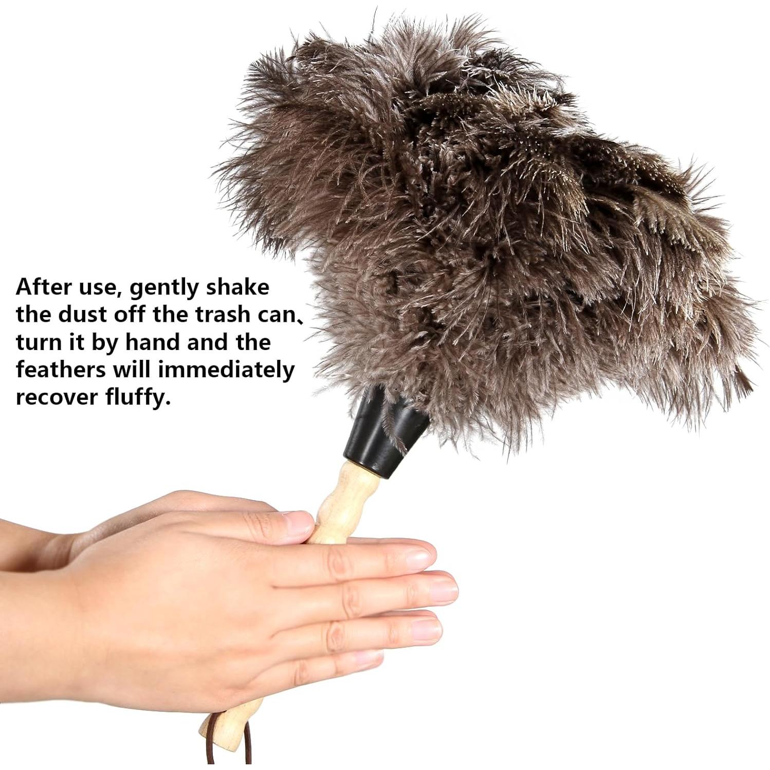 Plumero de Plumas de Avestruz NEWONG 2pcs 35.56 cm