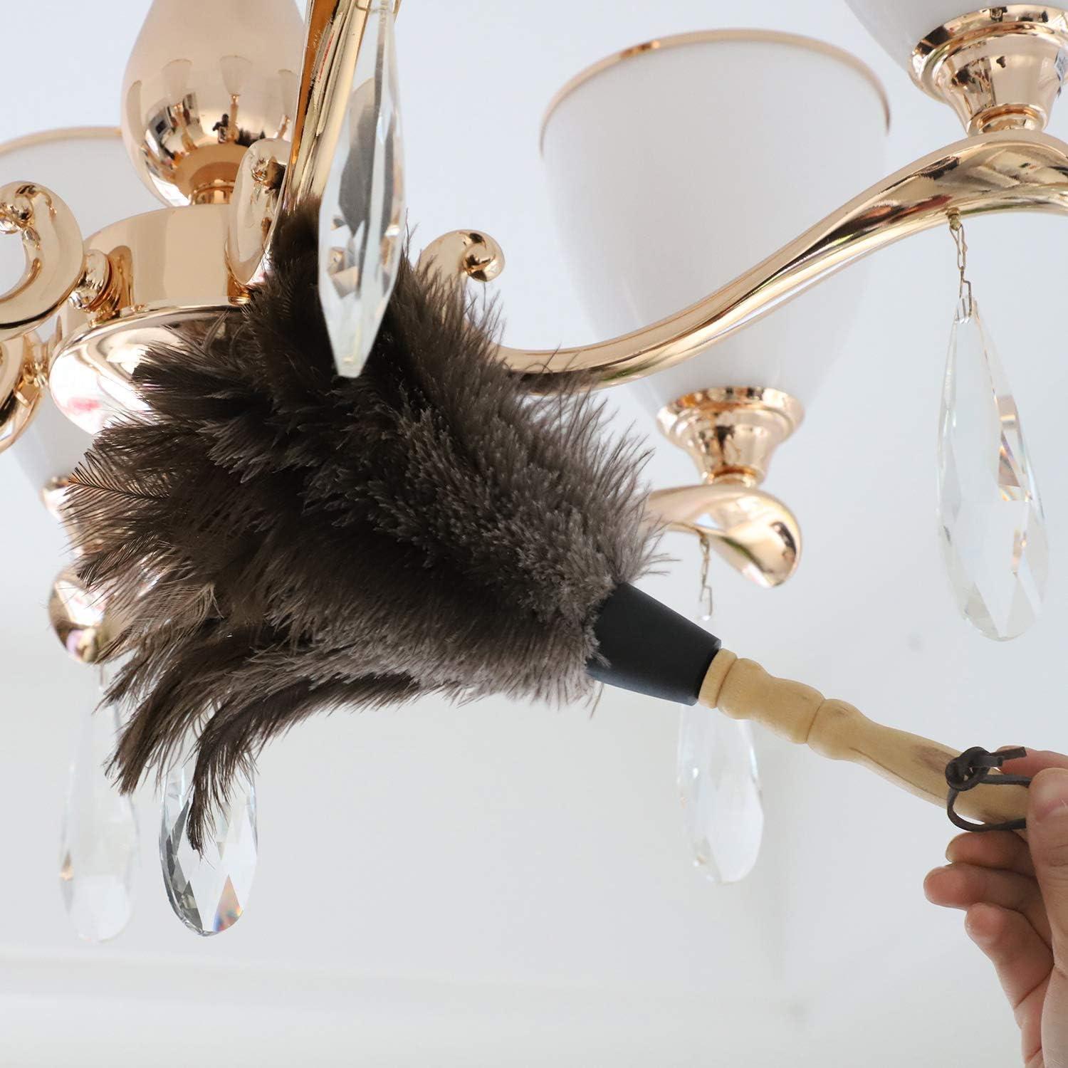 Plumero de Avestruz Gris Natural - 2 Piezas, Limpieza Eficaz