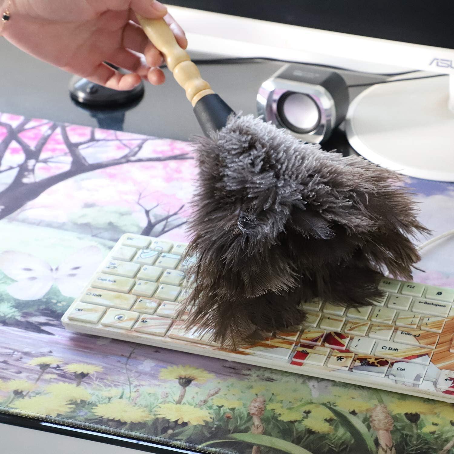 Plumero de Avestruz Gris Natural - 2 Piezas, Limpieza Eficaz