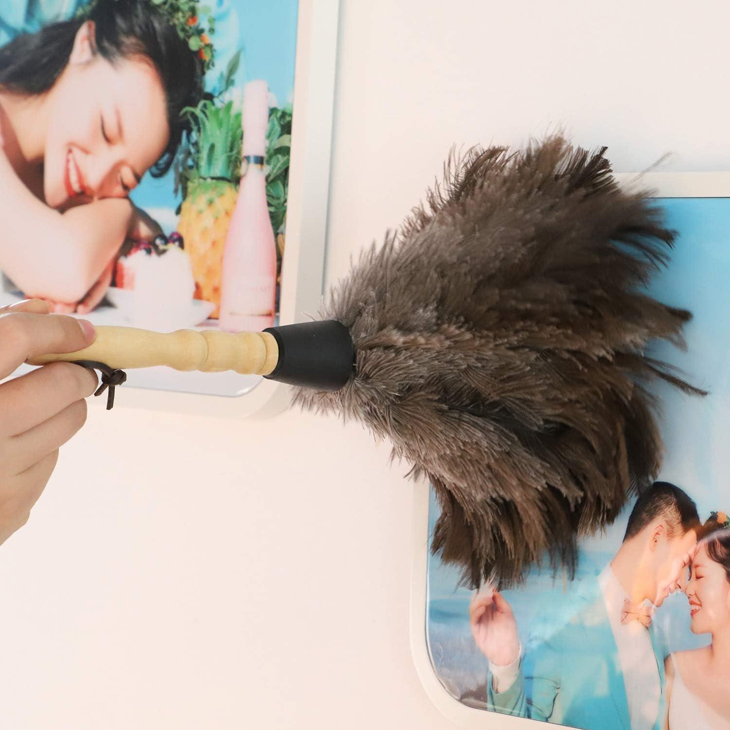 Plumero de Avestruz Gris Natural - 2 Piezas, Limpieza Eficaz