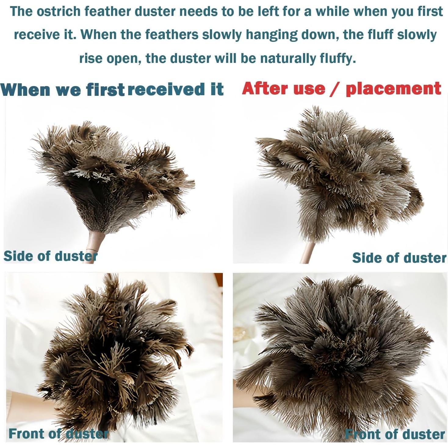 Plumero Ddzmz de Plumas Naturales de Avestruz 40.64 cm