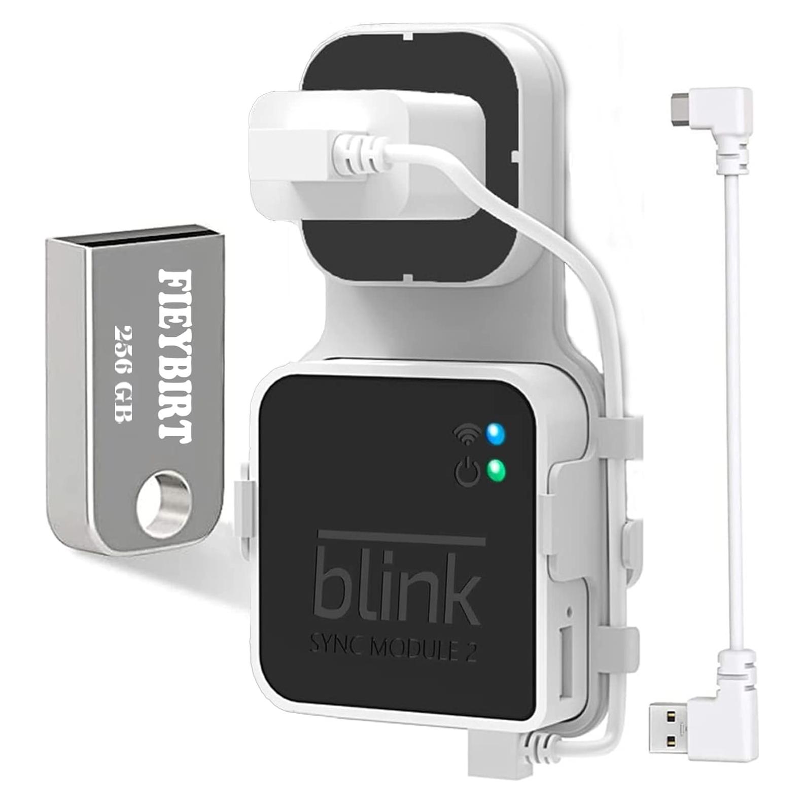 Unidad Flash USB Fieybirt 256GB para Módulo Blink 2