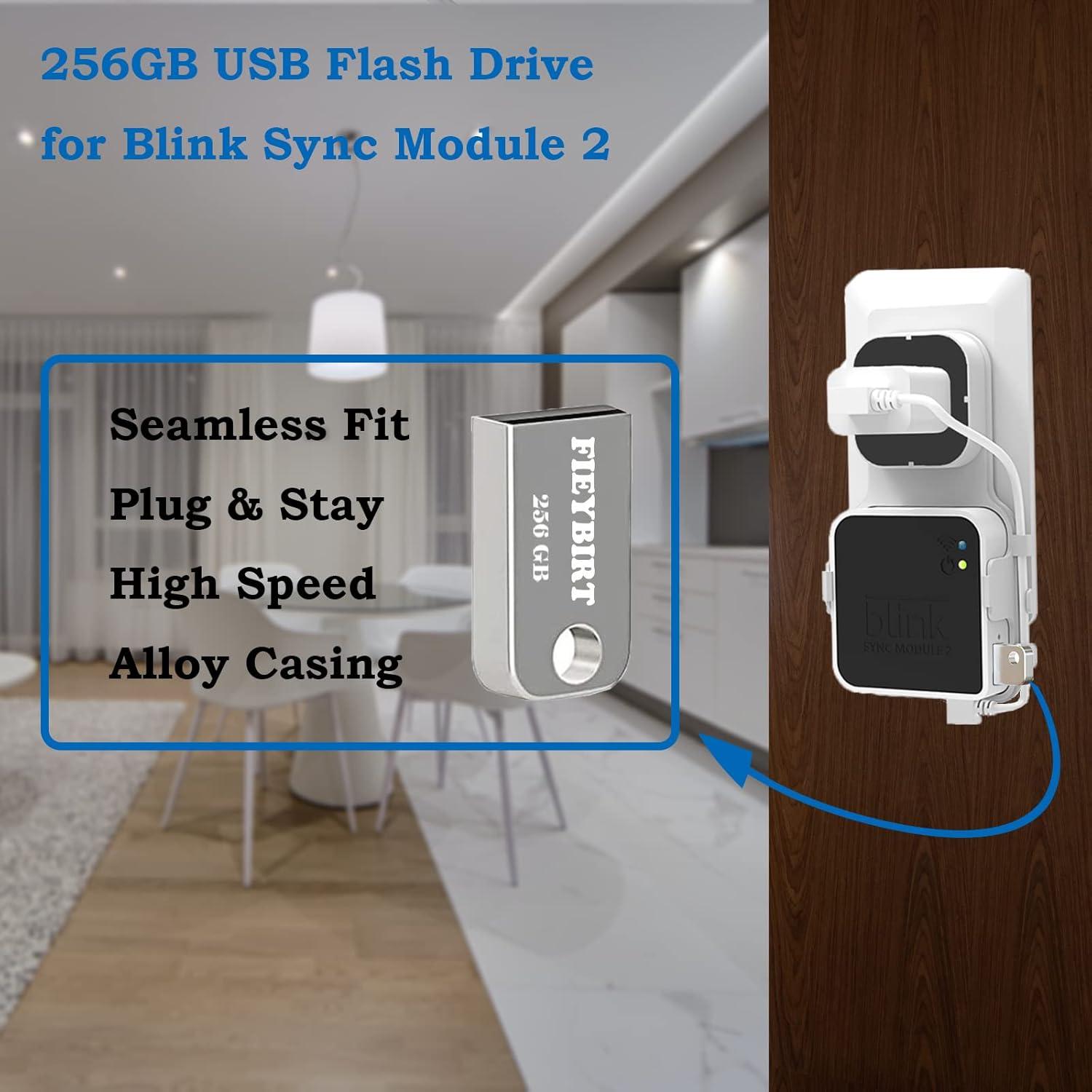 Unidad Flash USB Fieybirt 256GB para Módulo Blink 2