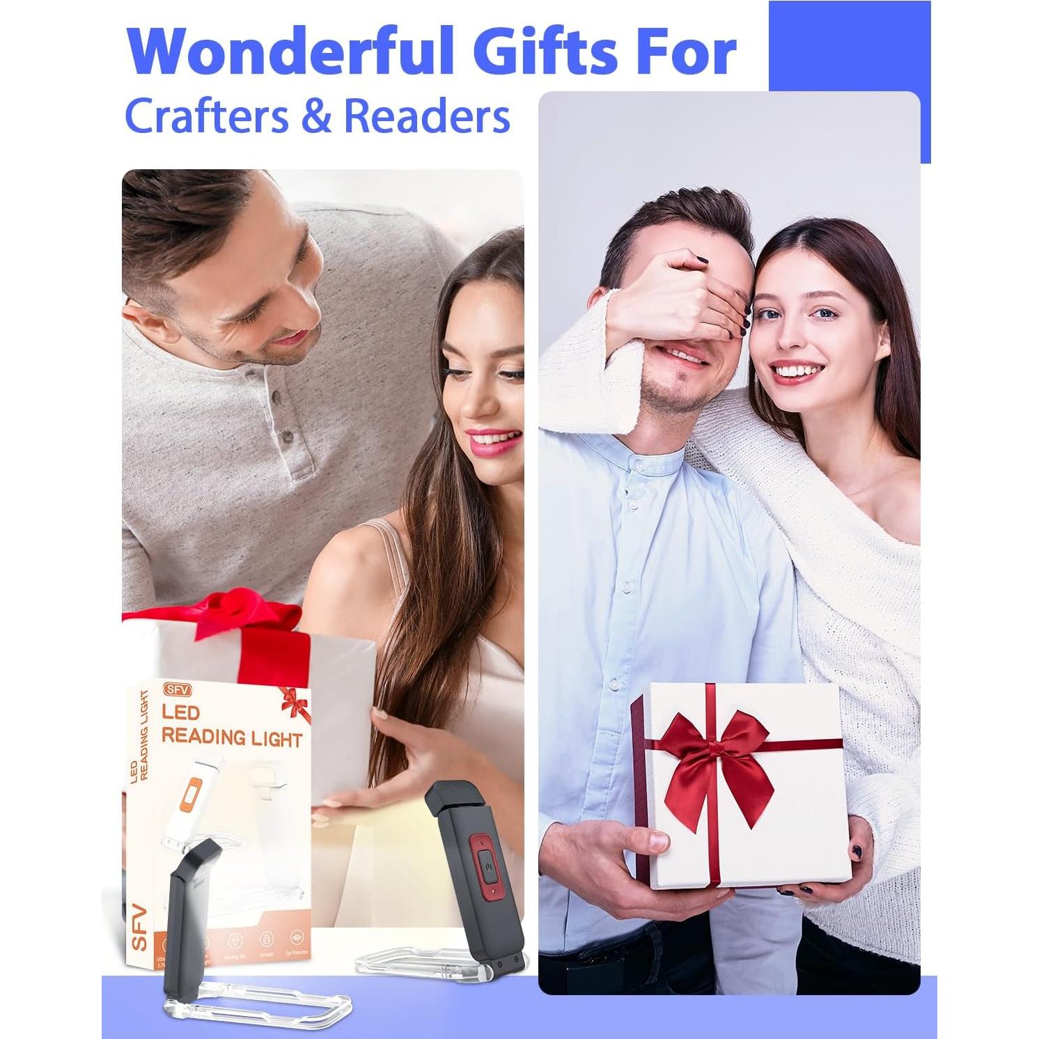 Luz de Libro Portátil SFV LED Recargable Clip-On Negra