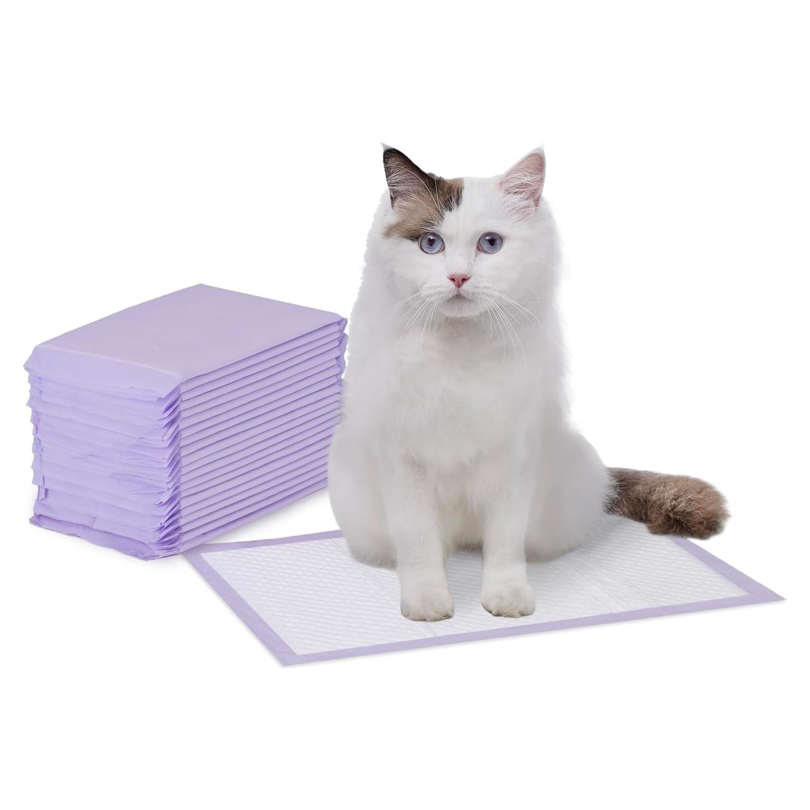 Almohadillas para Gato Amazon Basics 20 Unidades Aroma Fresco