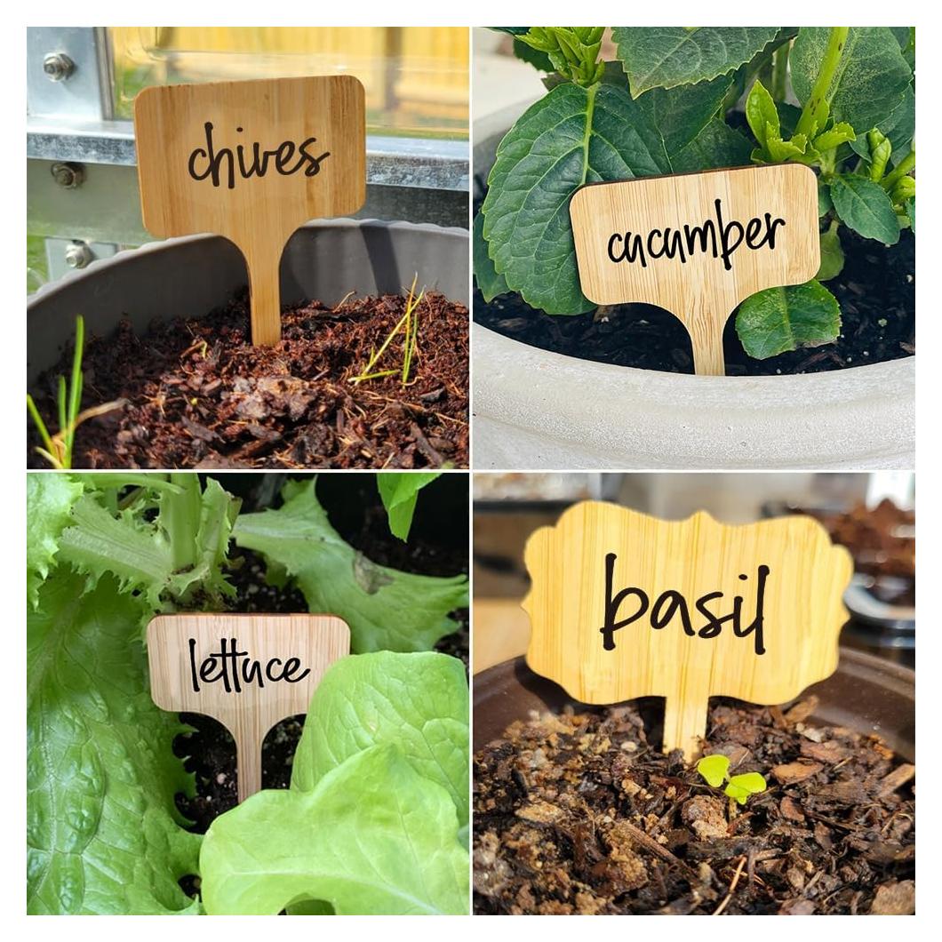 202 Etiquetas de Jardín MoharWall - Marcadores de Plantas