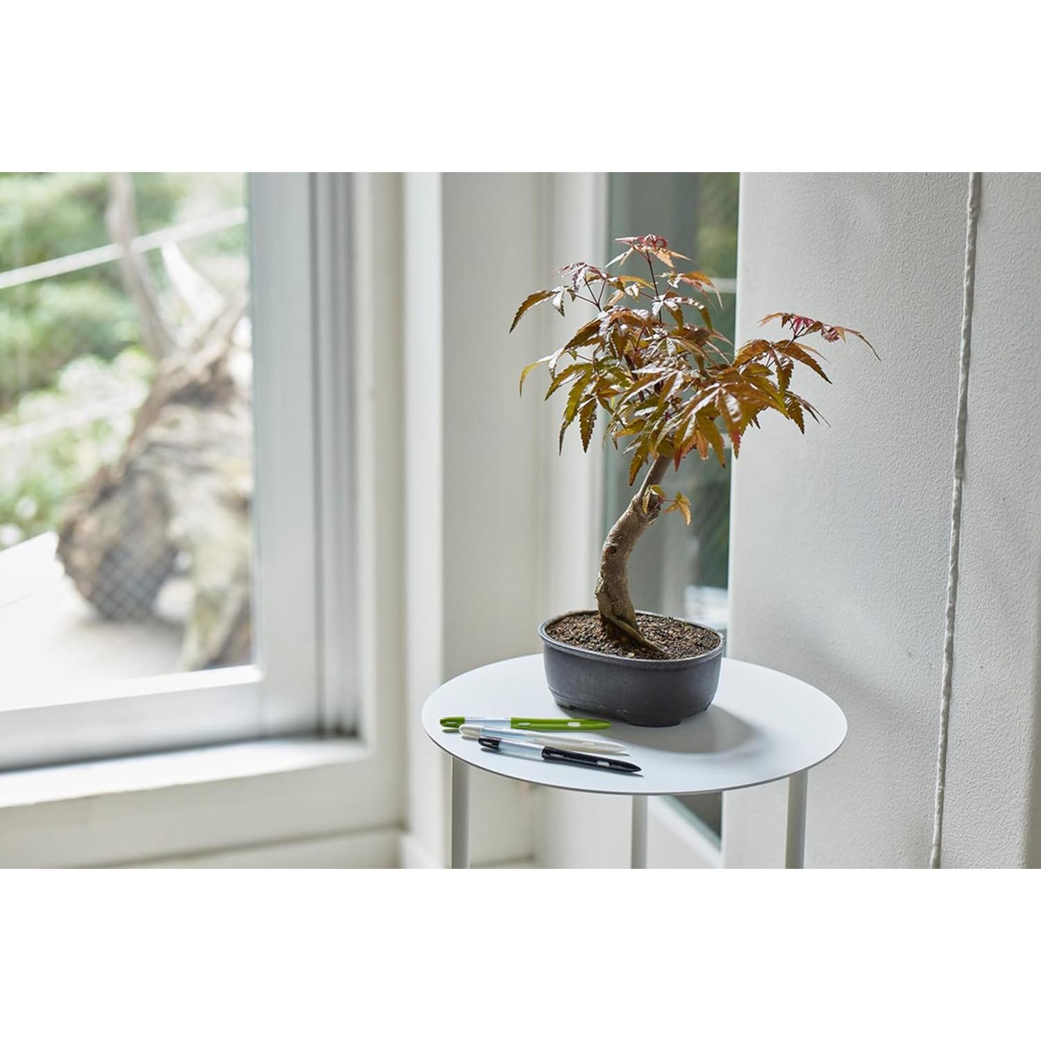 Sensor de Humedad SUSTEE Aquameter Pequeño Negro - Paquete de 12