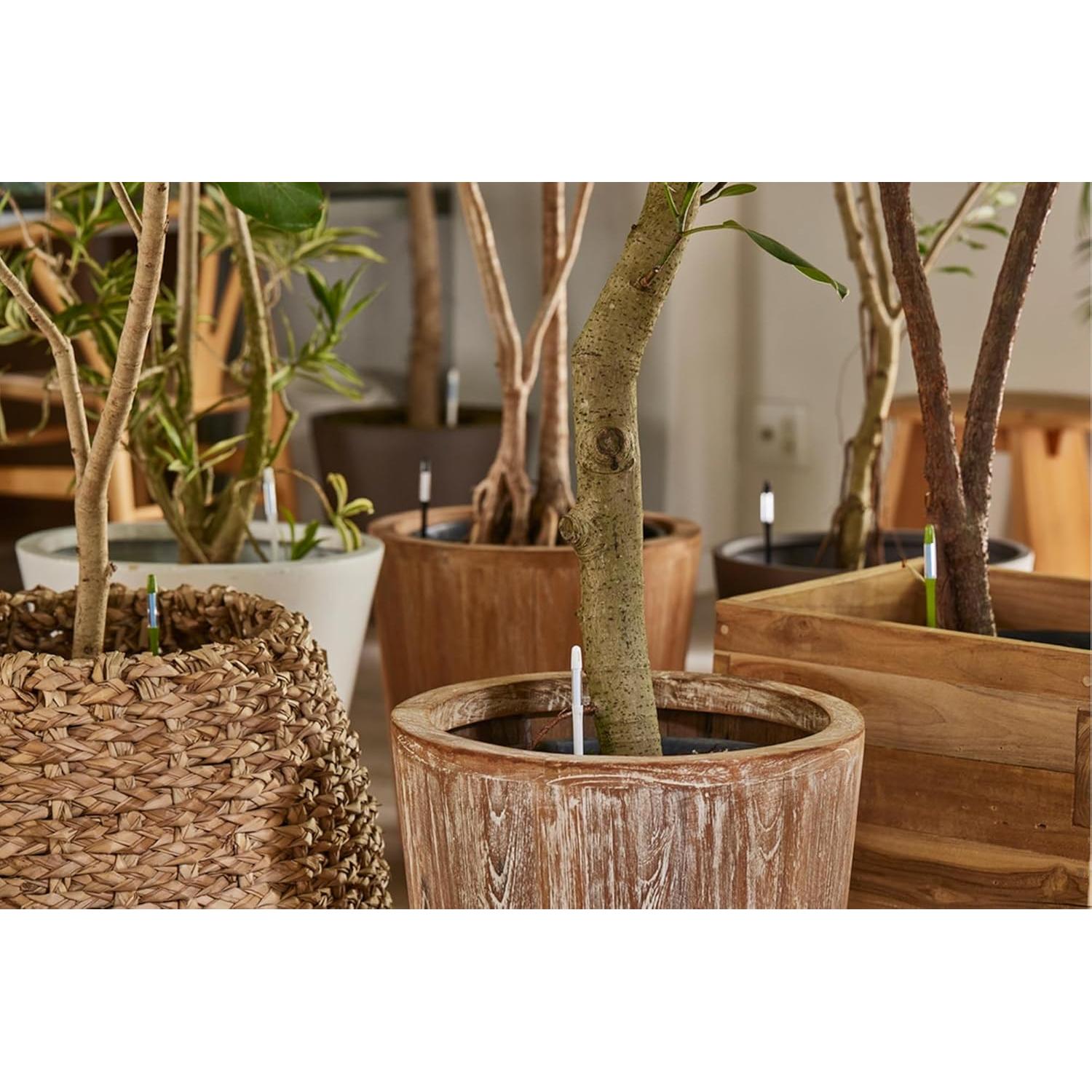 Sensor de Humedad SUSTEE Aquameter Pequeño Negro - Paquete de 12