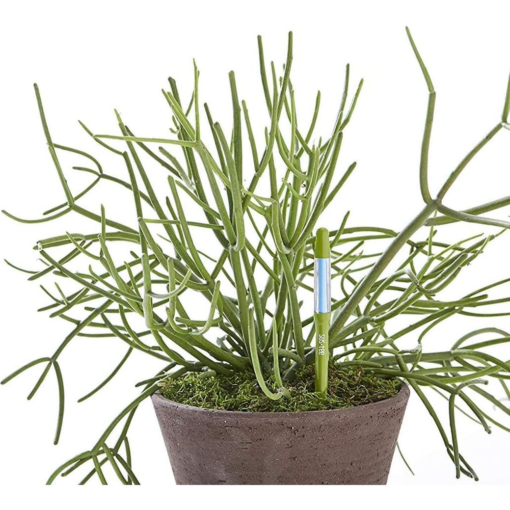 Medidor de Humedad del Suelo Sustee Mediano Verde con 3 Núcleos