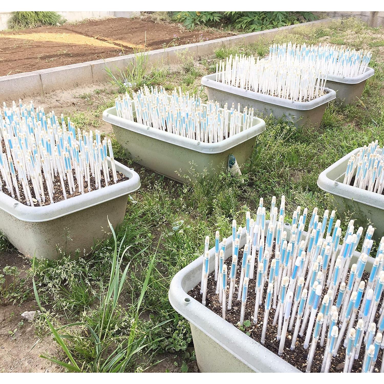 Medidor de Humedad del Suelo Sustee Mediano Verde con 3 Núcleos