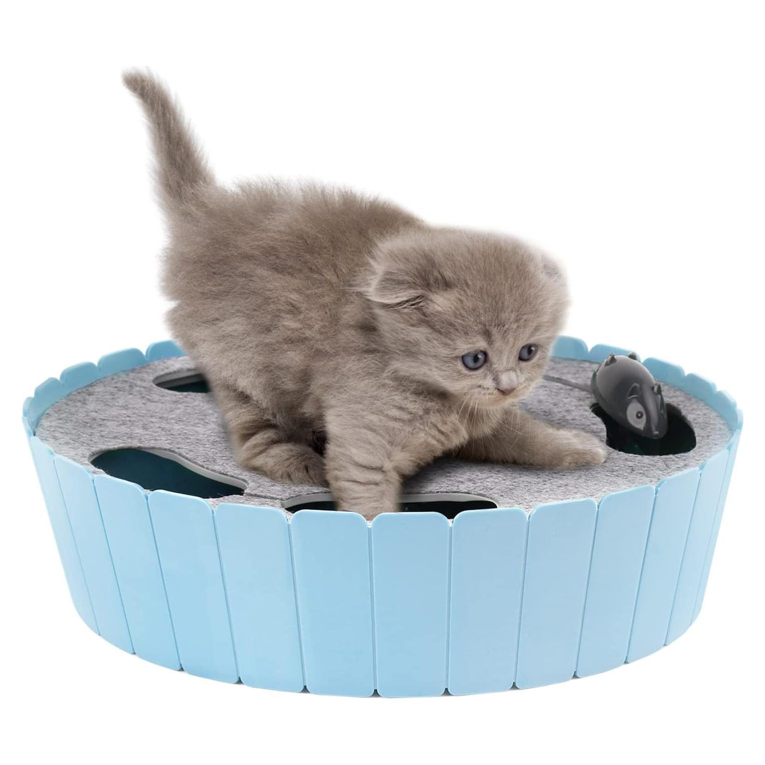 Juguete Interactivo para Gatos Pawaboo Teaser Automático Azul