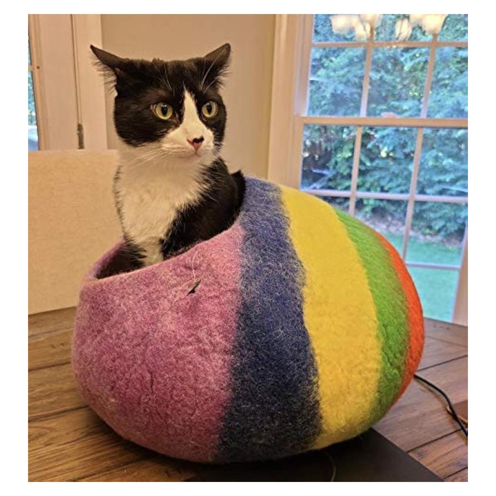 Cueva de Gato de Lana Ecológica Asterik Arcoíris 30x24cm