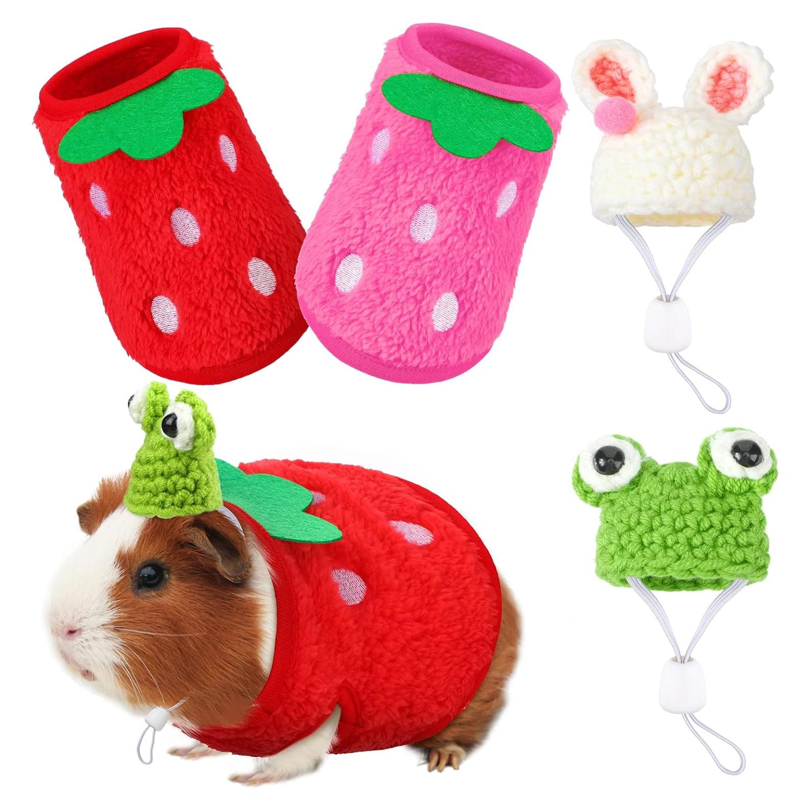 Ropa para Cobayas Mixweer - 4 Piezas con Sombreros Mini