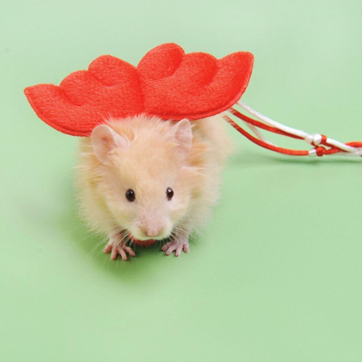 Arnés Ajustable para Hámster Copfeu con Correa y Campana Rosa