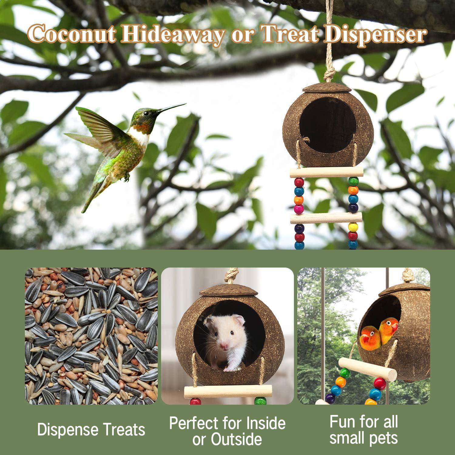 Casa de Pájaro de Coco Eeaivnm con Escalera 12.95 cm