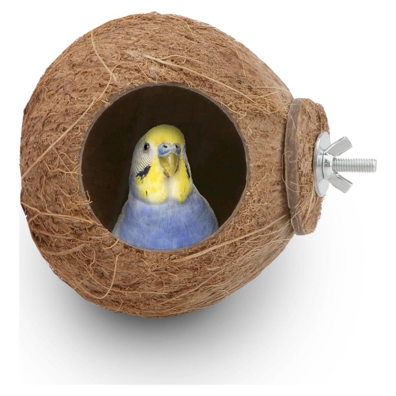 Nido de Cría para Aves Hypeety de Coco Natural 10-15cm