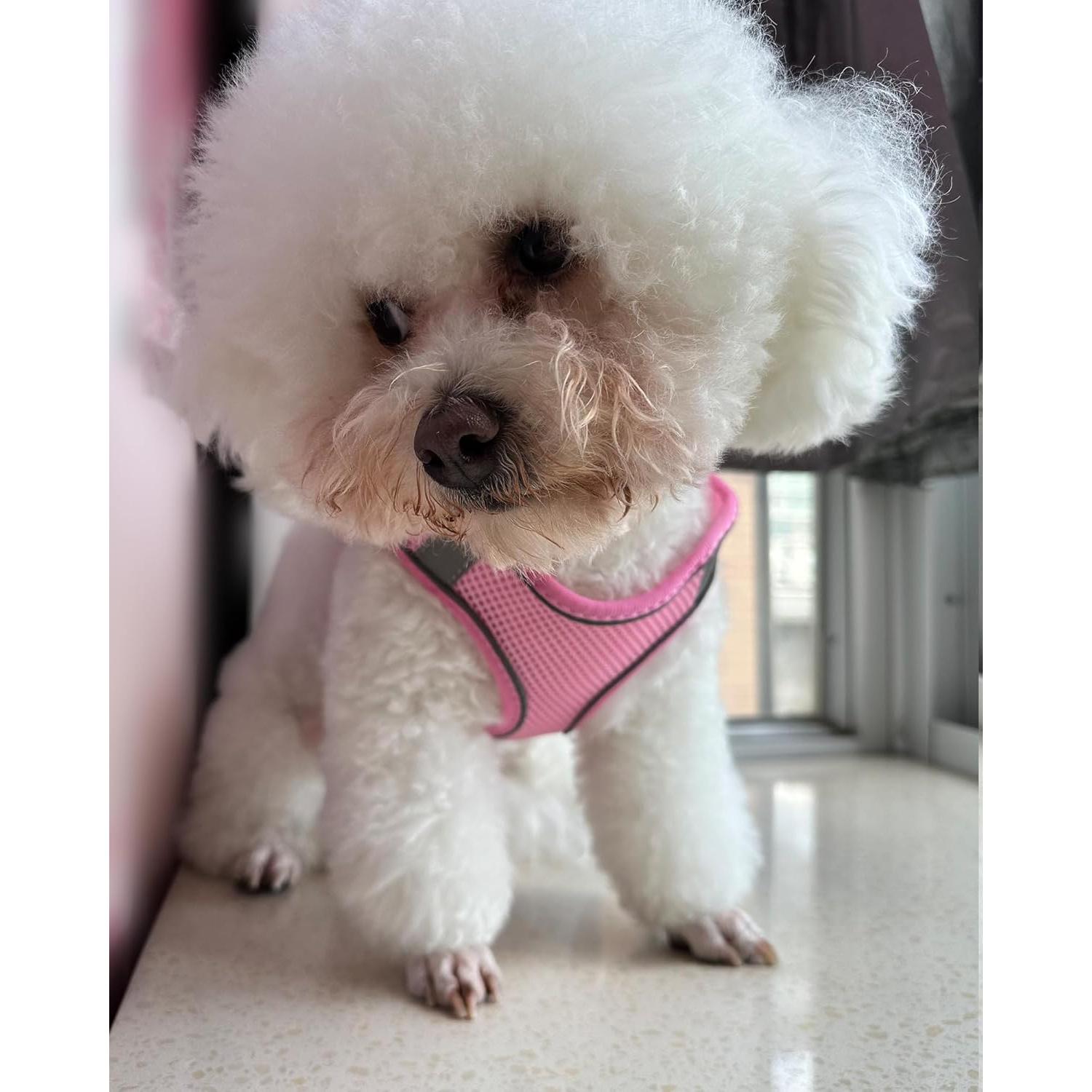 Arnés para Perros Solmoony XS Rosa Sin Tirar Malla Transpirable