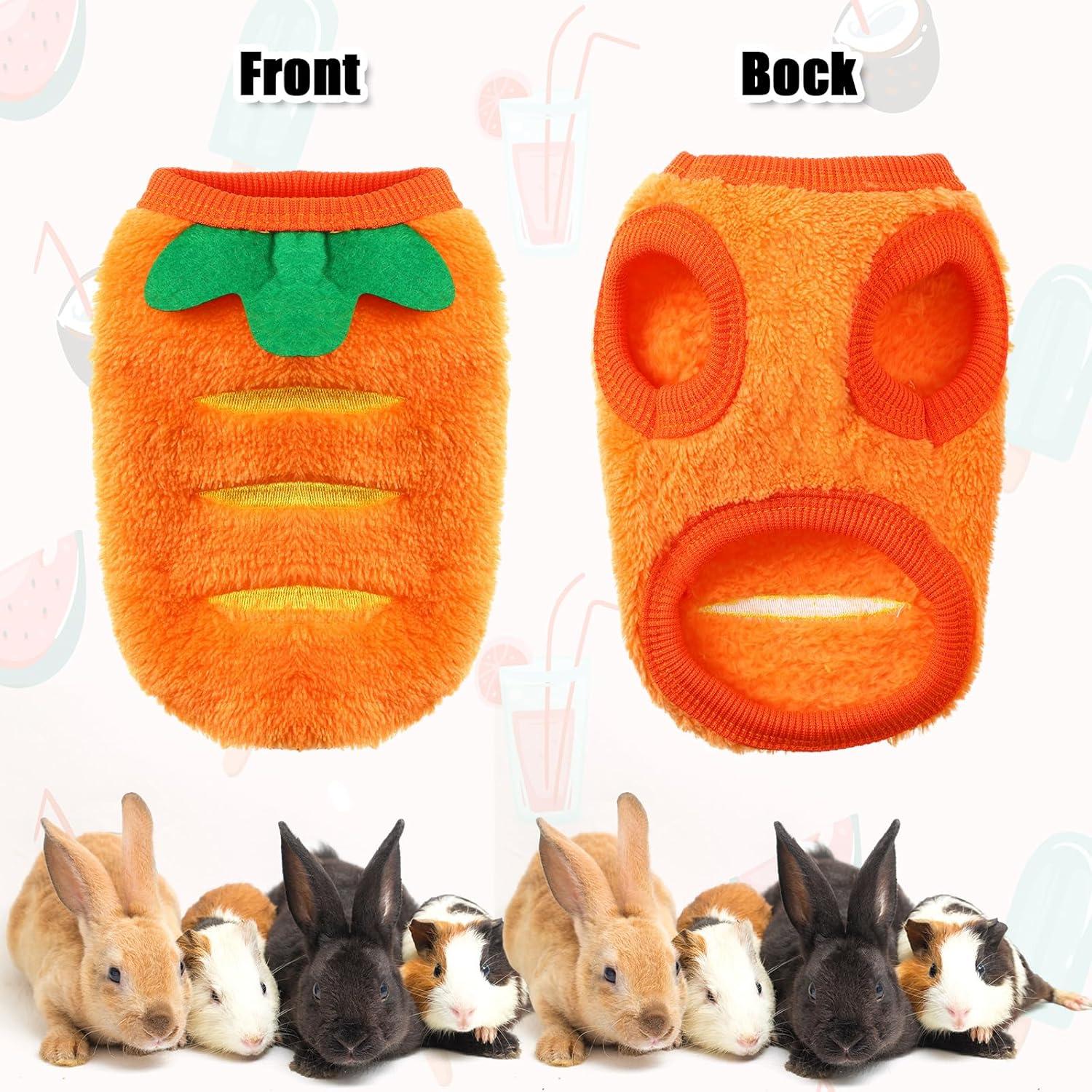 Juego de Ropa para Cobayas Clysee - 10 Piezas Mini Disfraces