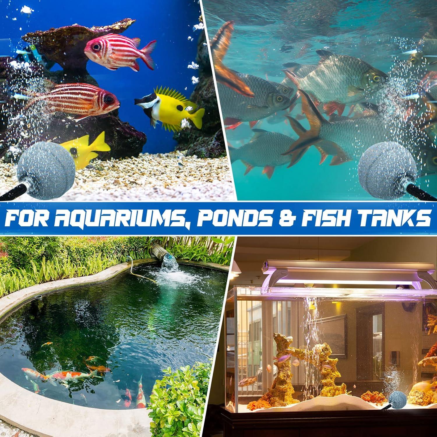 Reginary 10 Piedras de Aire para Acuario 5.08 cm Difusor Oxígeno