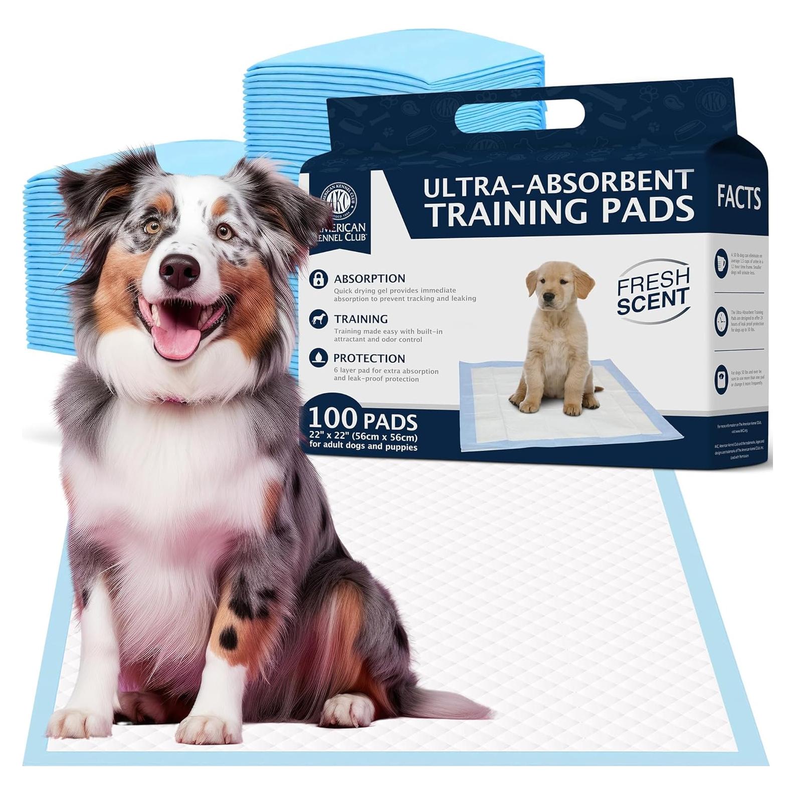 Almohadillas de Entrenamiento Aromatizadas AKC 100 Unidades 56x56cm