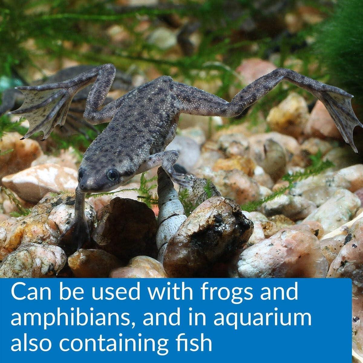 API Turtle Sludge Destroyer Limpiador de Acuario 240 ml