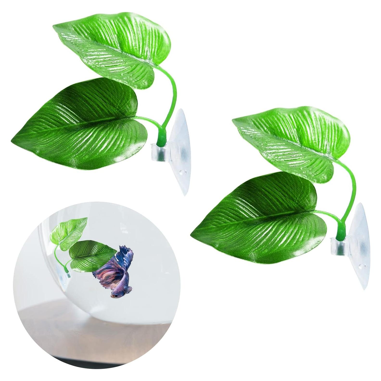 Hojas de descanso para peces Betta Zickupy - 2 piezas