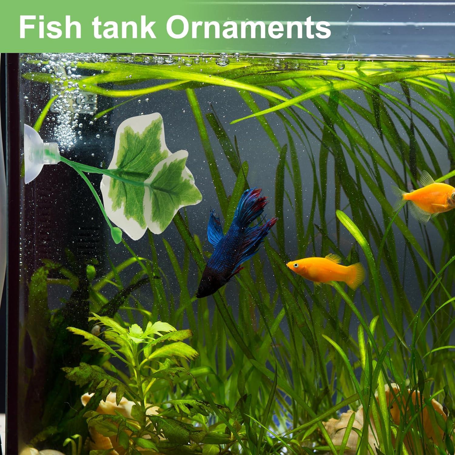 Hoja de pez Betta CAPASTEC - Simulación hábitat natural 1 pc