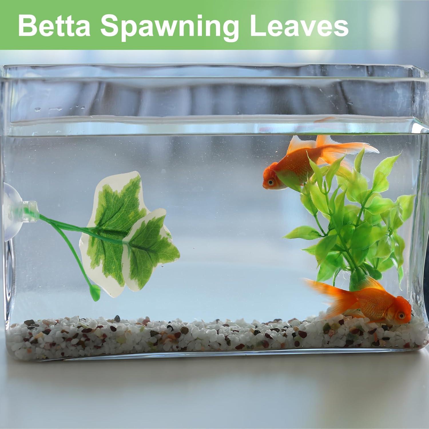 Hoja de pez Betta CAPASTEC - Simulación hábitat natural 1 pc