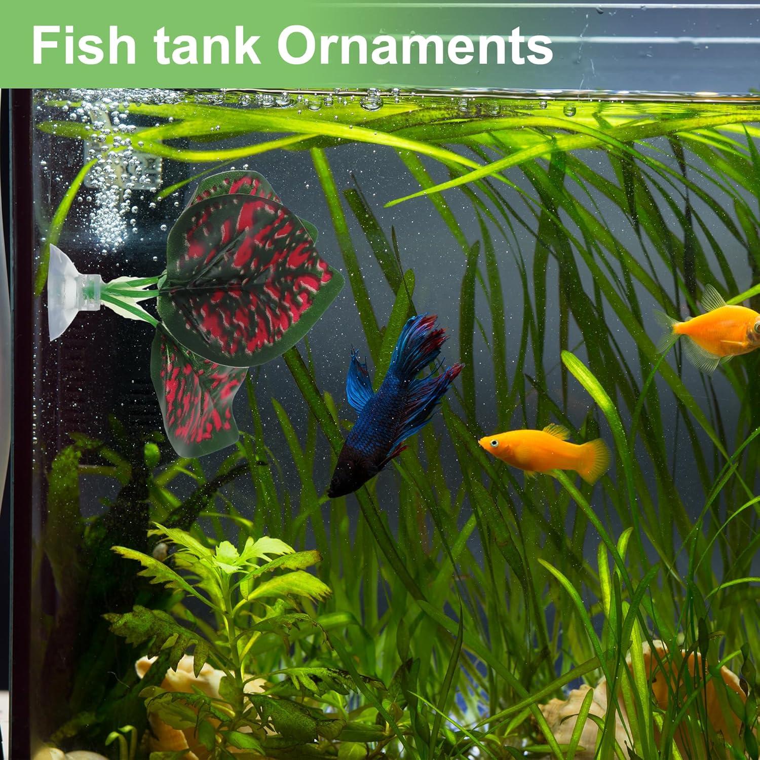 Hojas de pez Betta CAPASTEC - Simulación hábitat natural 3 pcs