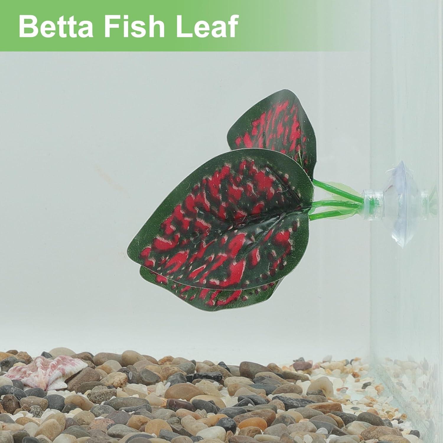Hojas de pez Betta CAPASTEC - Simulación hábitat natural 3 pcs