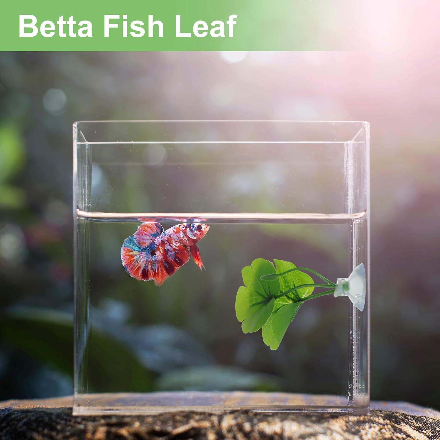 Hoja de pez Betta CAPASTEC - Simulación hábitat natural verde