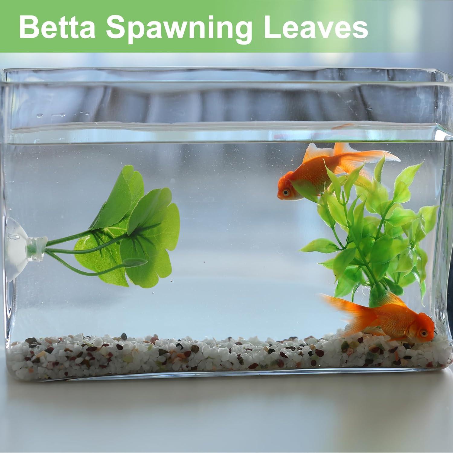 Hoja de pez Betta CAPASTEC - Simulación hábitat natural verde