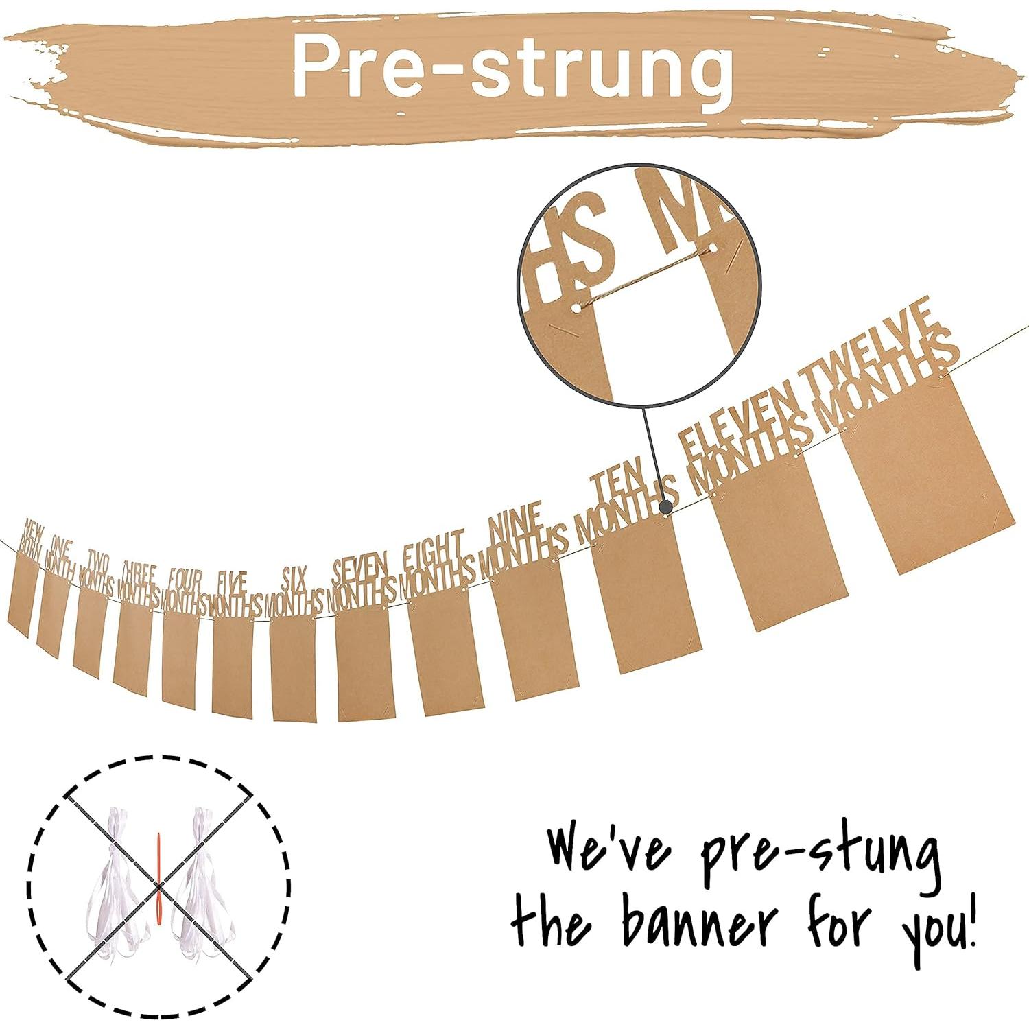 Banner de Fotos de Cumpleaños 1 Año PartyHooman Kraft