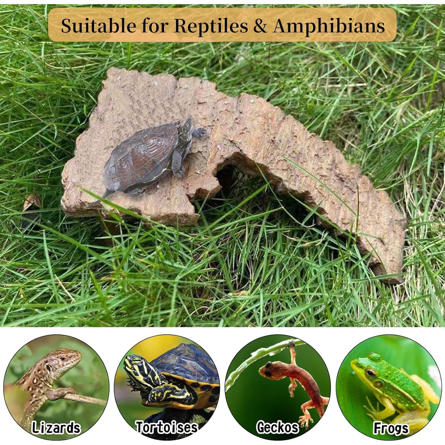 Plataforma Flotante para Tortugas Fhiny - Rampa de Sol 19.8x15cm