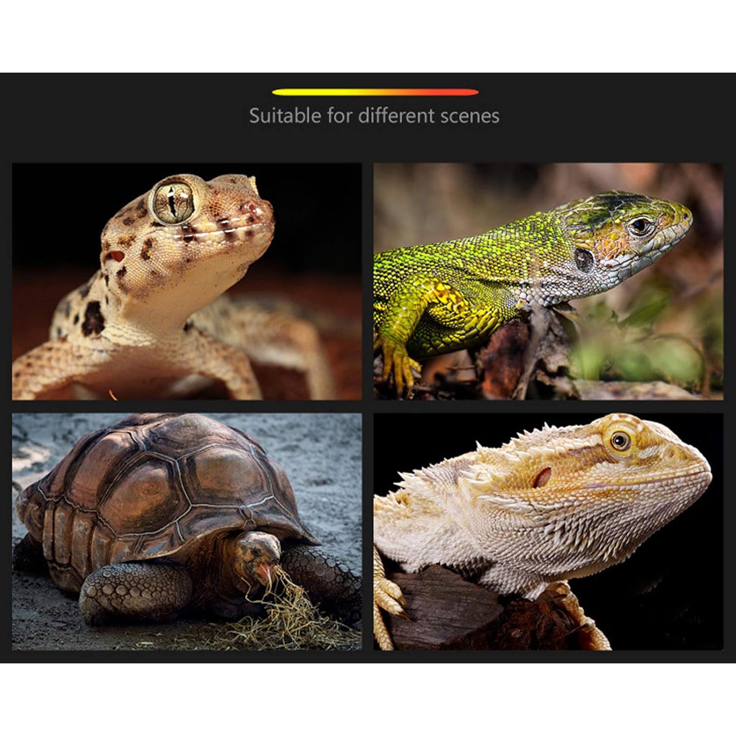 Plataforma Flotante para Tortugas Acuáticas xixibuy - Grande L