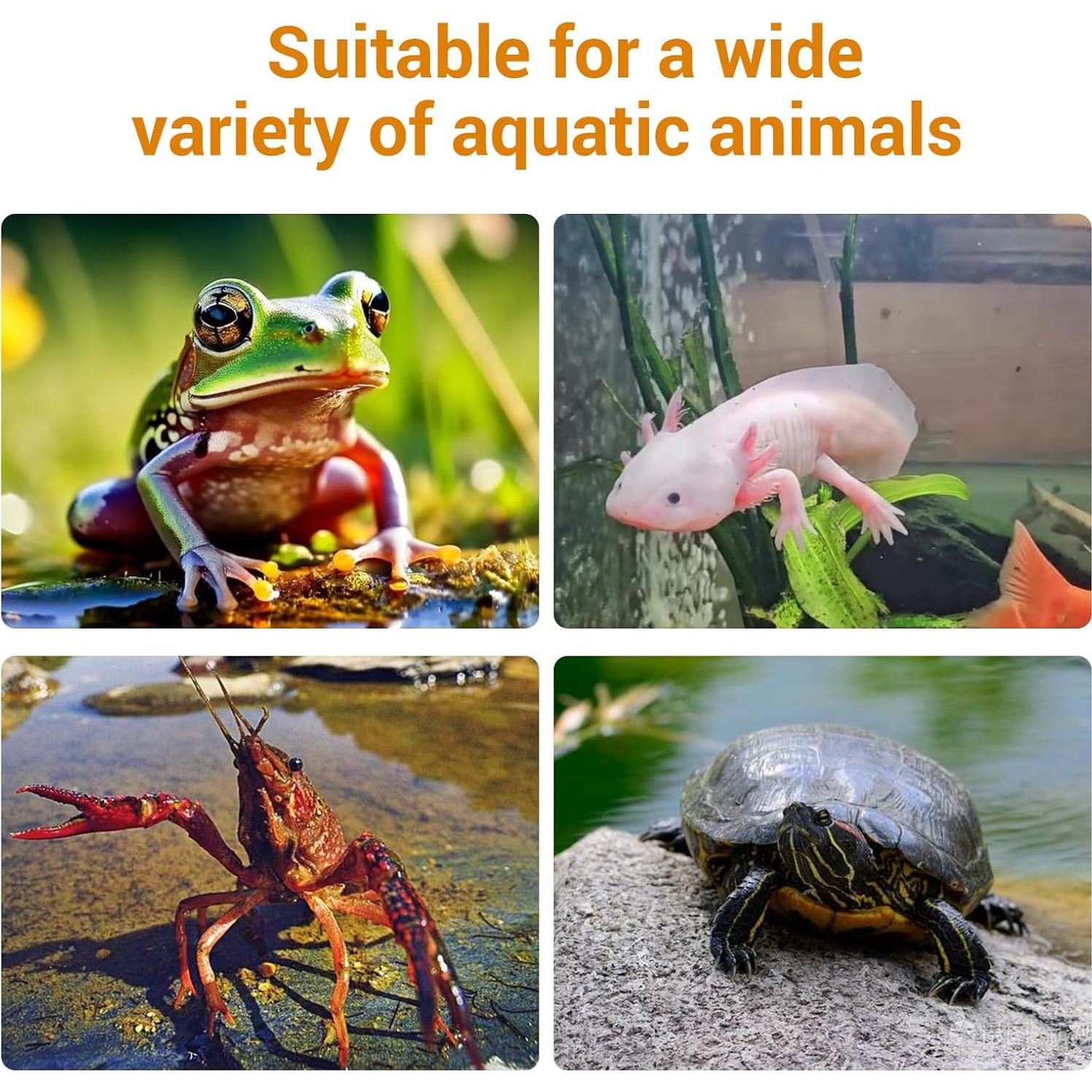 Plataforma de Sol Extra Grande AquaLume para Tortugas 21x18 cm