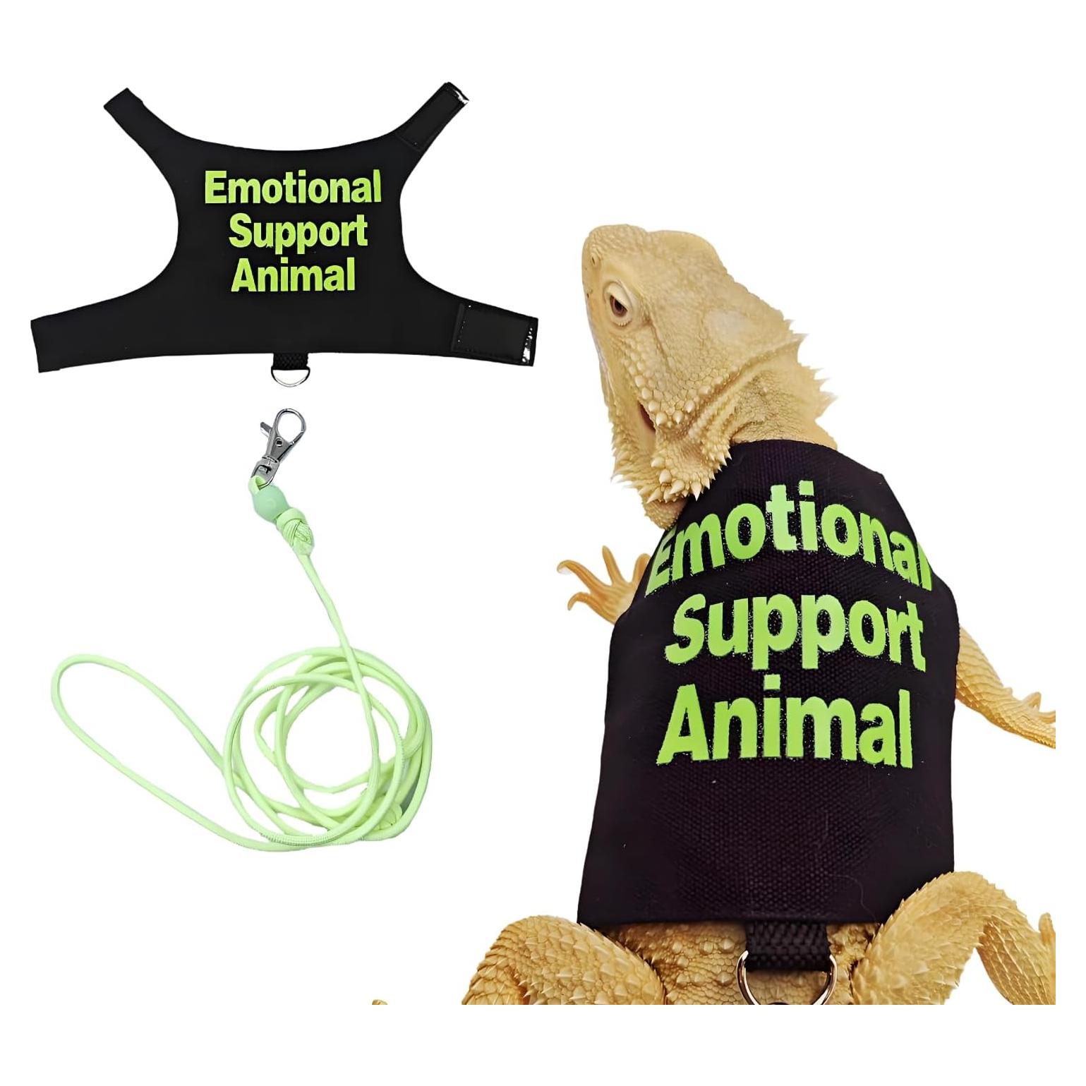 Conjunto Arnés y Correa Ajustable SEZDEKI para Dragón Barbudo