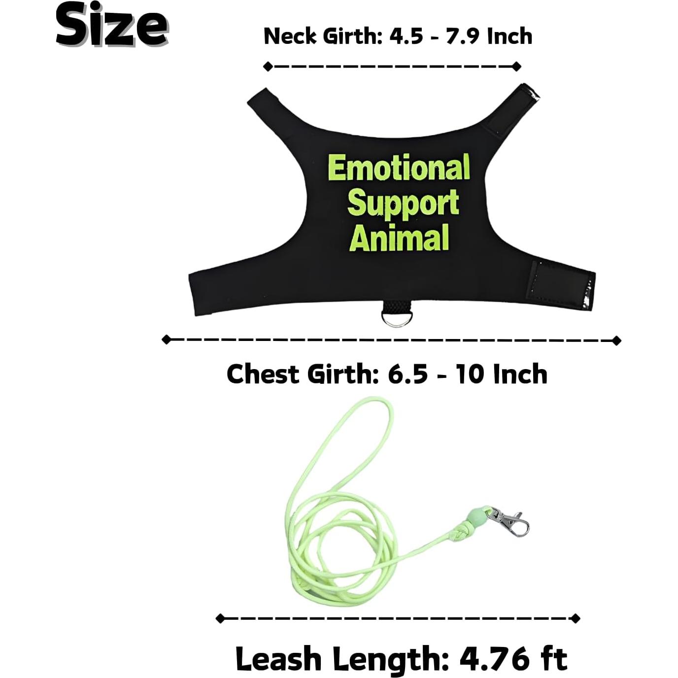 Conjunto Arnés y Correa Ajustable SEZDEKI para Dragón Barbudo