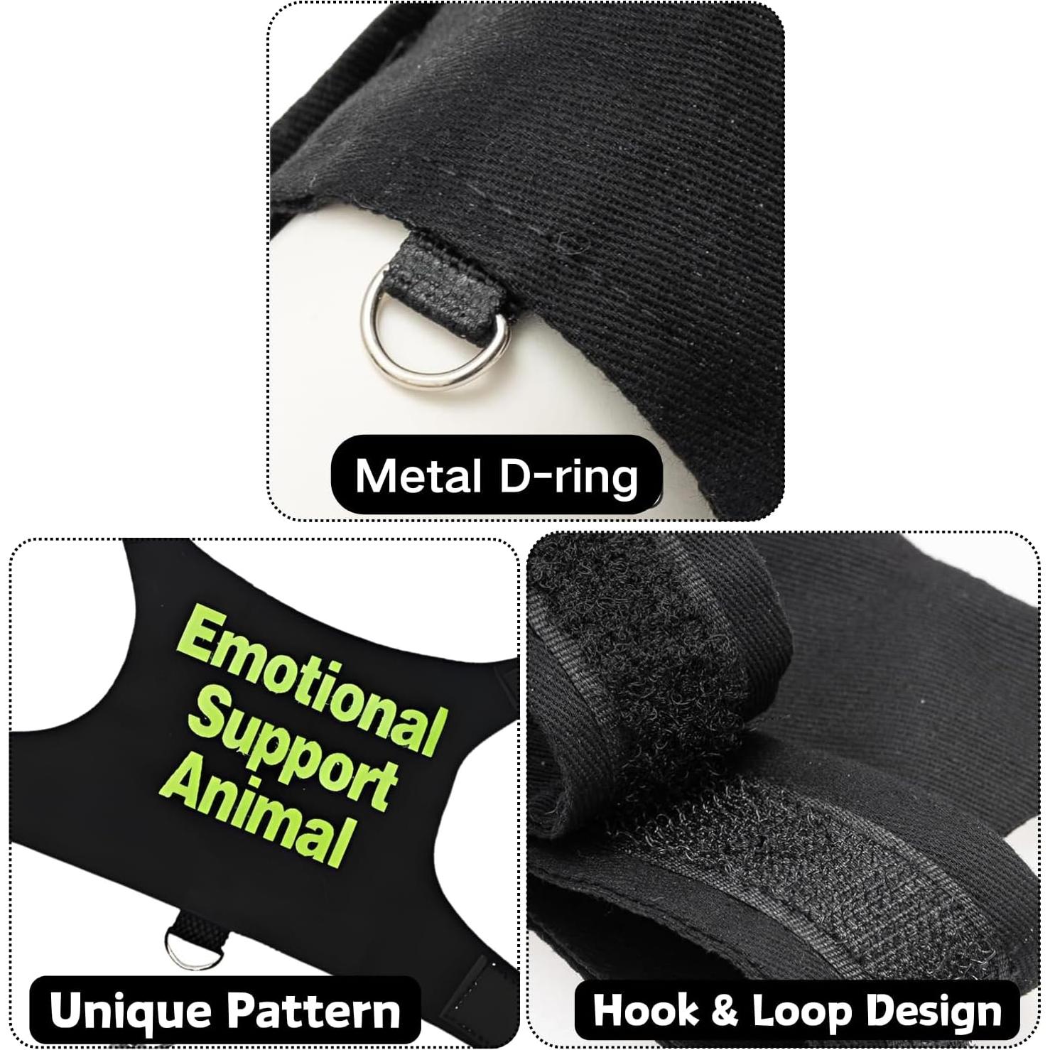 Conjunto Arnés y Correa Ajustable SEZDEKI para Dragón Barbudo