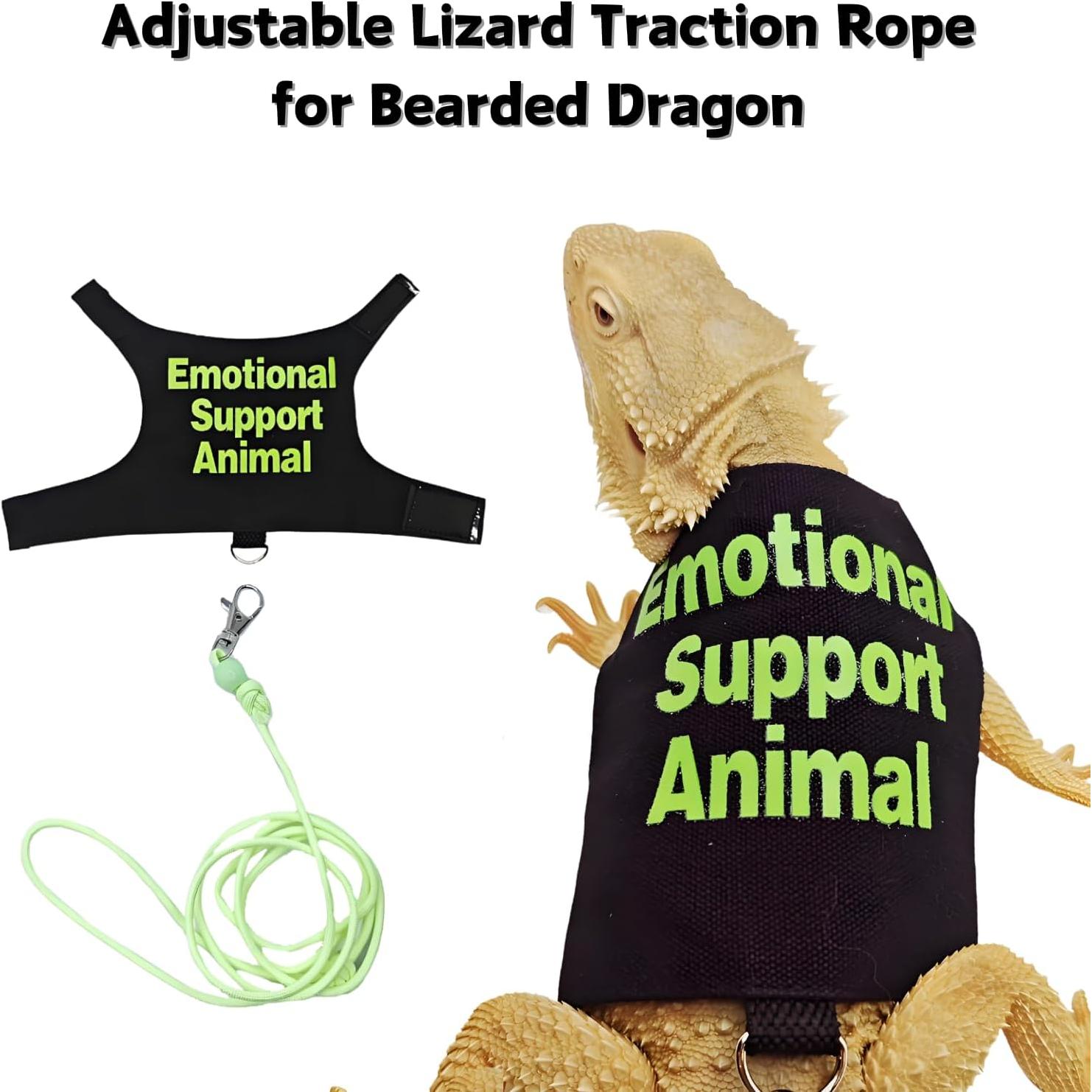Conjunto Arnés y Correa Ajustable SEZDEKI para Dragón Barbudo