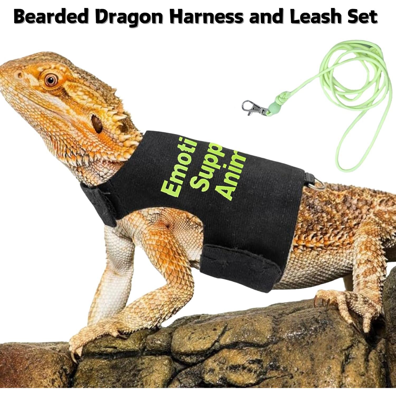Conjunto Arnés y Correa Ajustable SEZDEKI para Dragón Barbudo