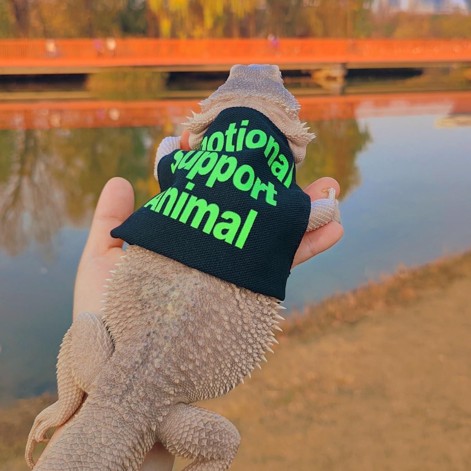 Conjunto Arnés y Correa Ajustable SEZDEKI para Dragón Barbudo