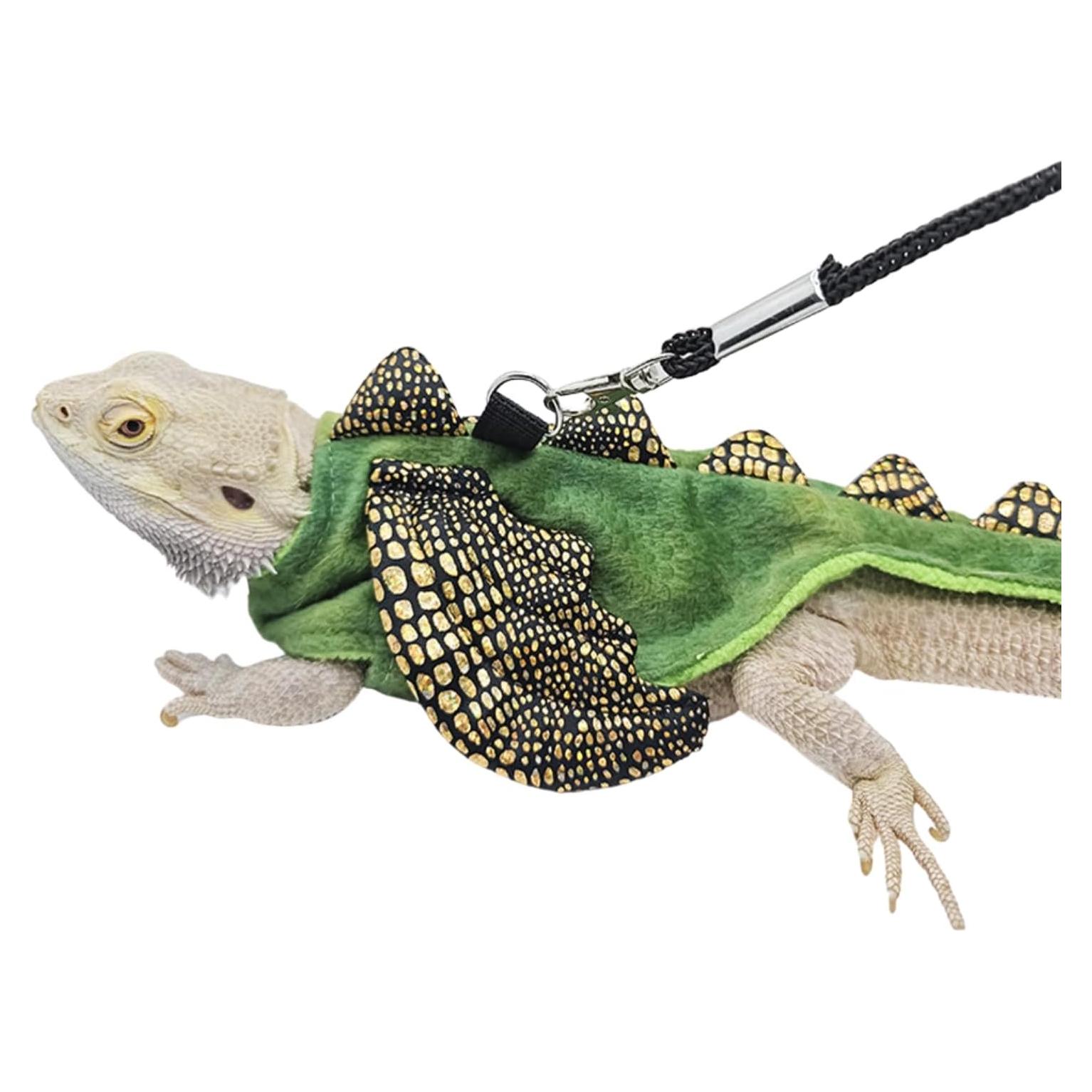 Conjunto Arnés y Correa Dragón Barbudo WCDJOMOP S Verde