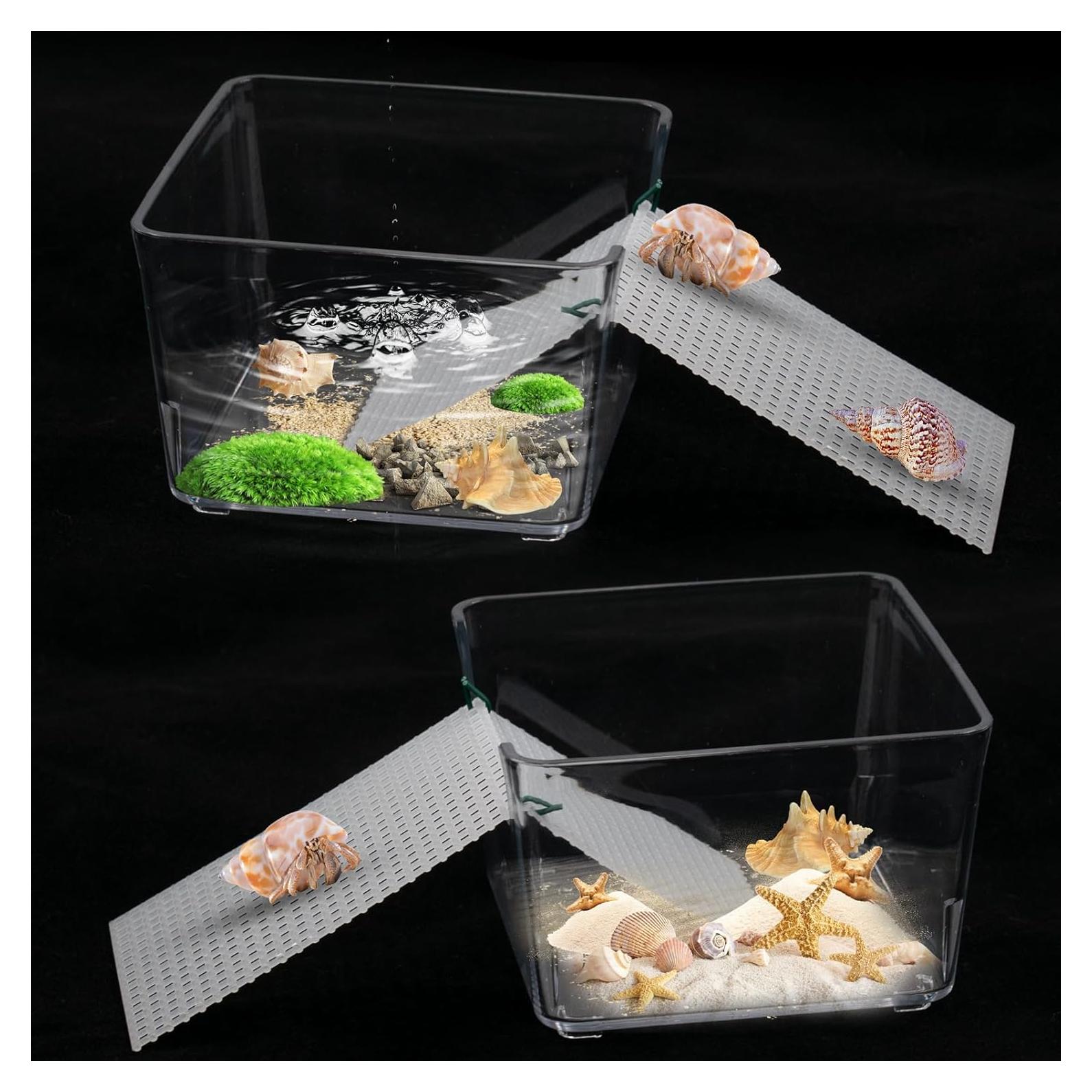 Tanques de Agua Transparentes para Cangrejos Ermitaños - KeaJuidy